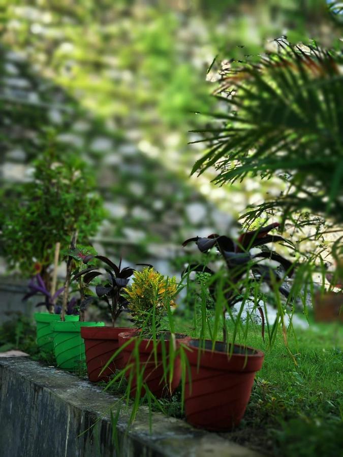Nature Villa Rishikesh Exterior photo