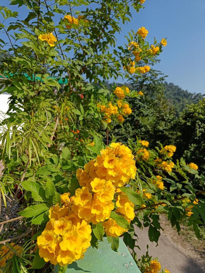 Nature Villa Rishikesh Exterior photo