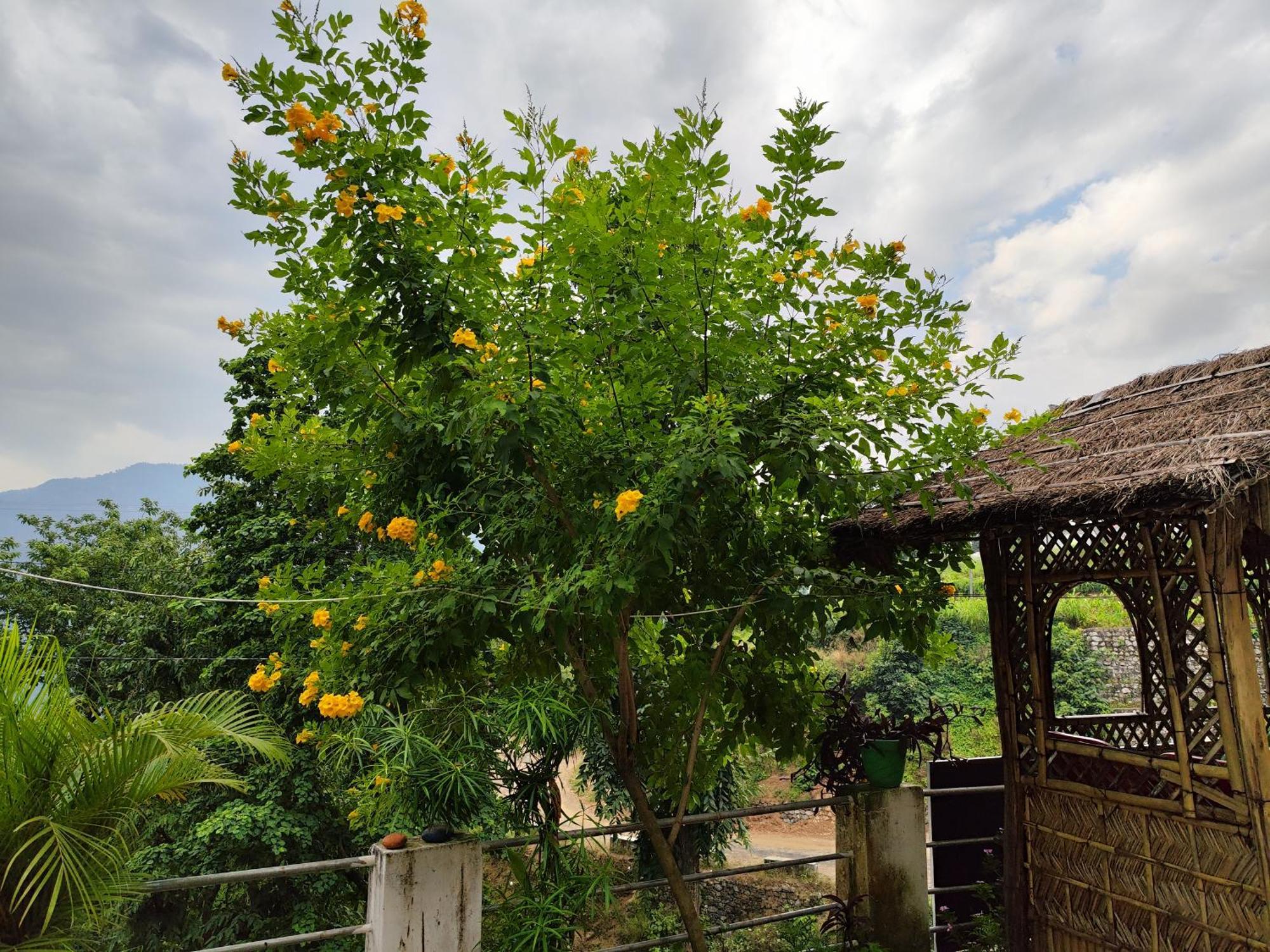 Nature Villa Rishikesh Exterior photo